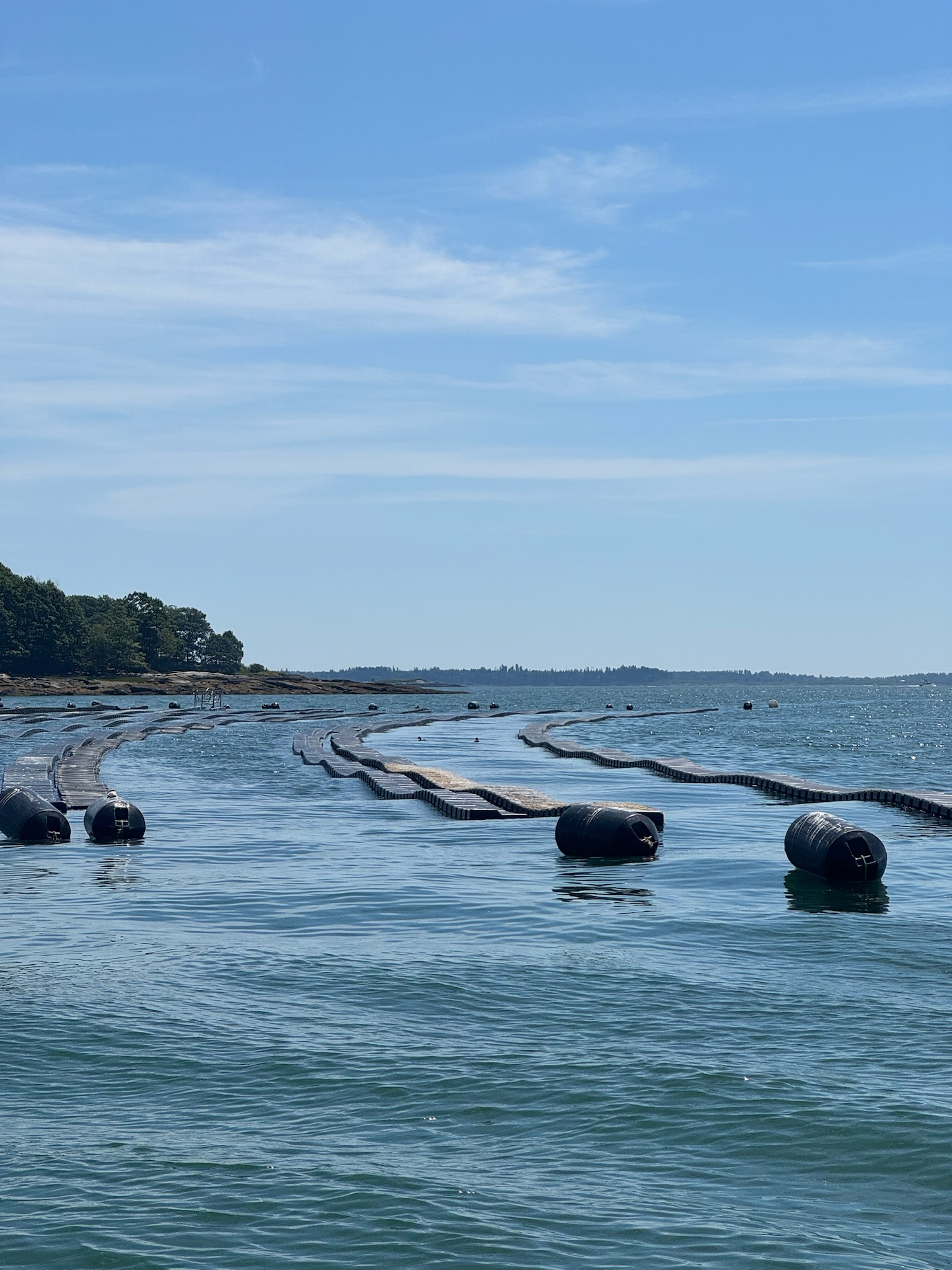 Oyster farm buoys on Casco Bay
